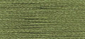 PF0237 - Bean Green - More Details PF0237 - Bean Green - More Details